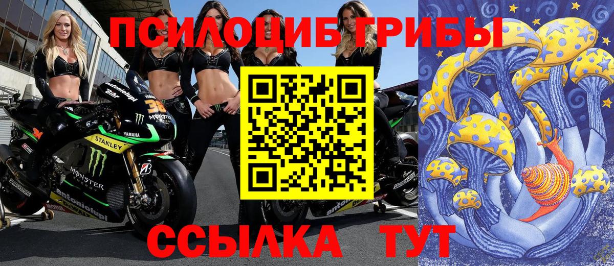Псилоцибиновые грибы прущие грибы  Вход с VPN  Рыбинск  Псилоцибиновые грибы MAGIC MUSHROOMS 