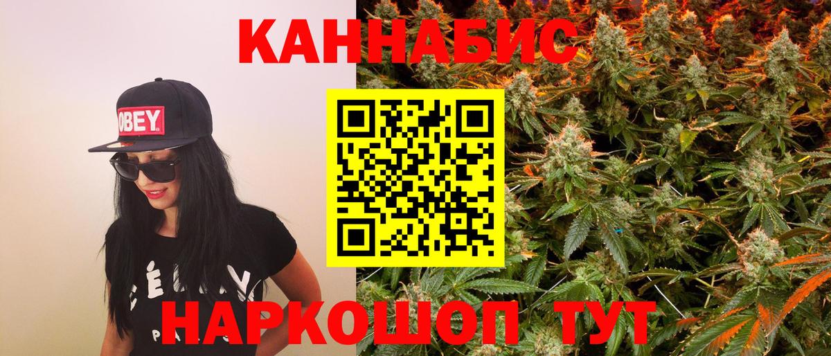 Конопля гибрид Рыбинск